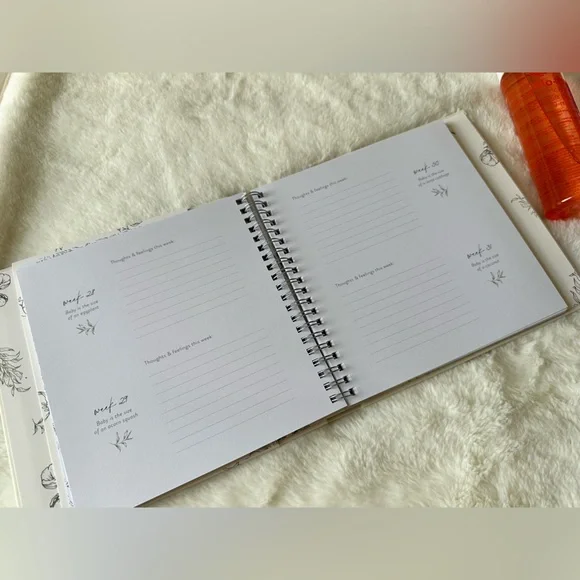 Pregnancy Bundle - All New - Picture 3 of 4